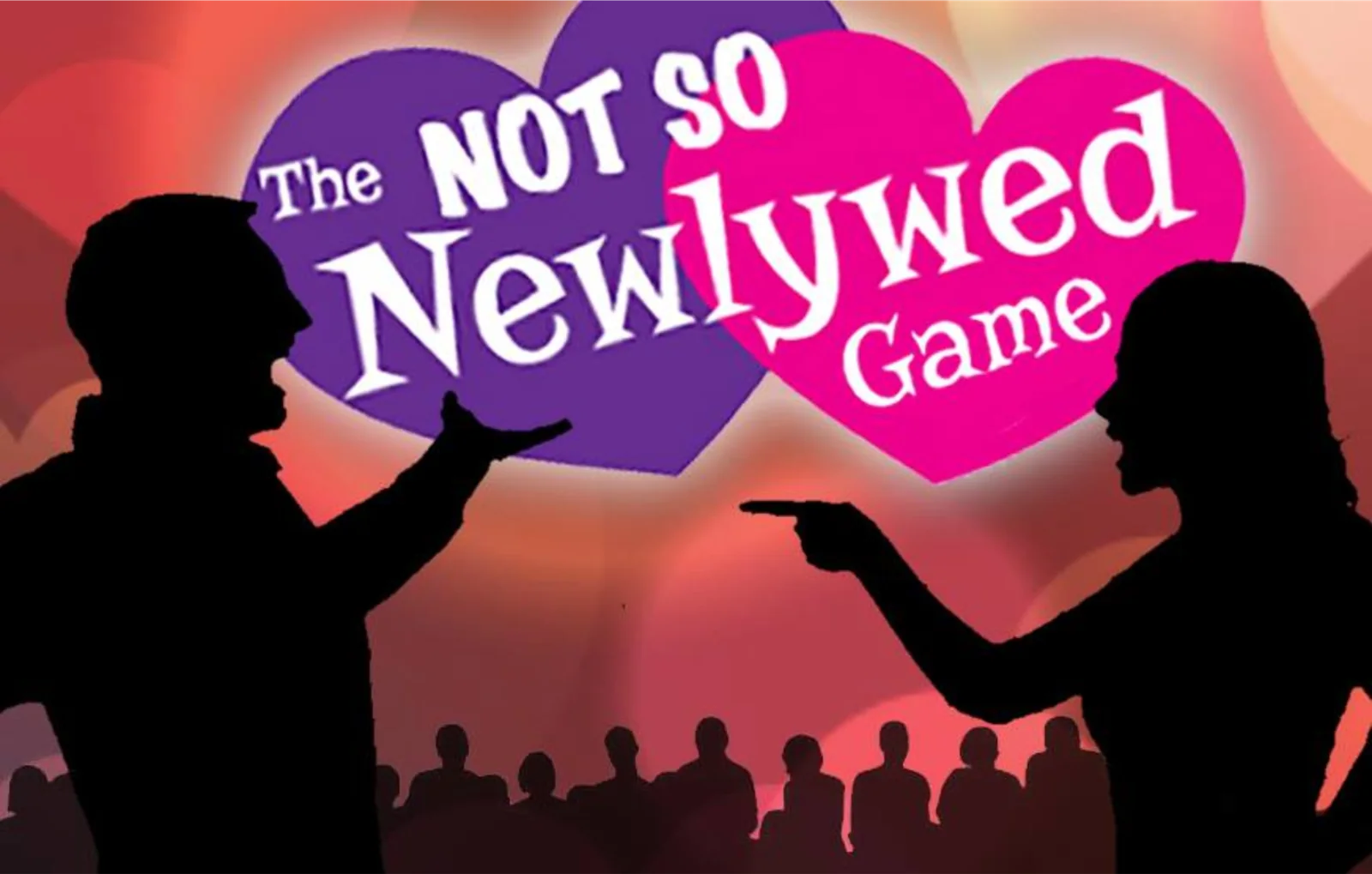 The Not So Newlywed Game game artwork